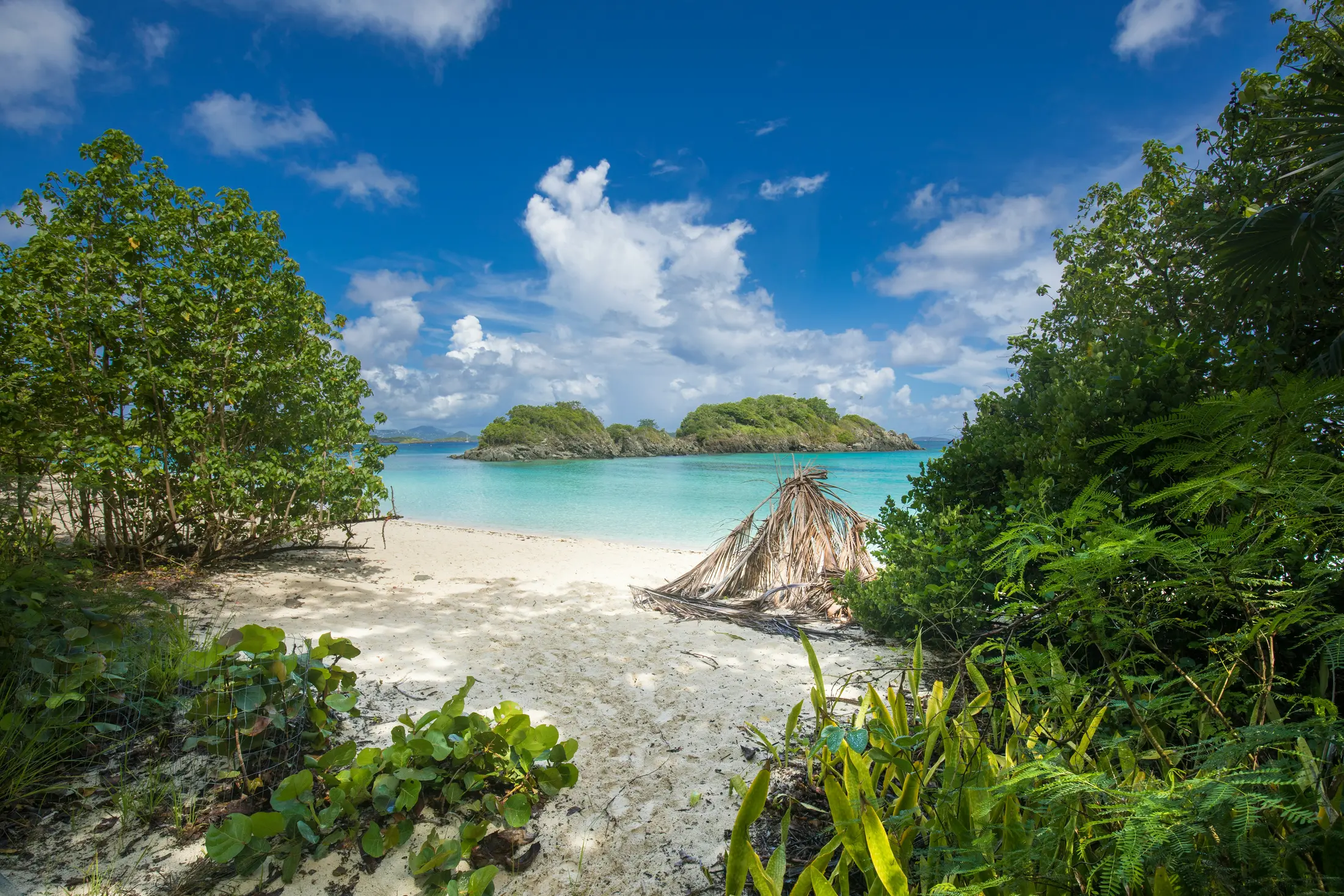 Trunk Bay St. John