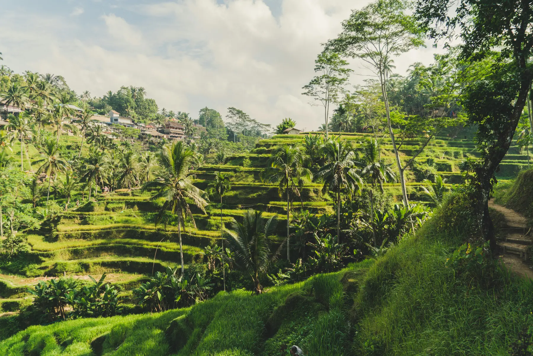 Bali route-planning destination