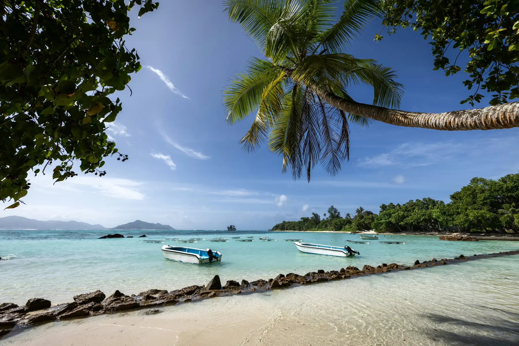 Boats, palms and a tropical beach on La Digue, Seychelles